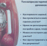 Информация Кадастровой палаты - Спасский район